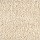 Stanton Carpet: Shaggy Plush Prosecco